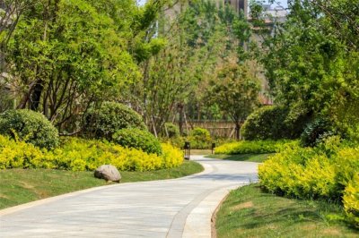 ​河南名人谷秀荣