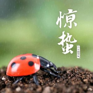 ​明日惊蛰，按照老传统，别忘吃了1样水果，寓意一年都有精神头