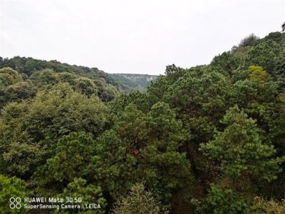 ​玉峰山：风含玉润，蔚然深秀
