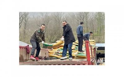 ​别想着混不好回农村我姑在农村待了50多年，最后悔没去城里打工