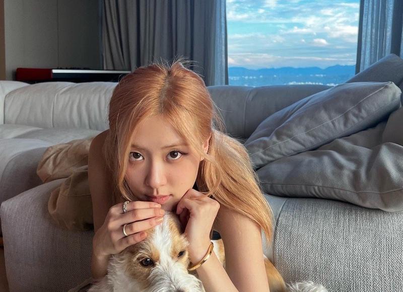 姜文一步之遥（你又低估了姜文的表达欲）