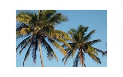 ​梦见死人是什么预兆，周公梦见死人是什么预兆