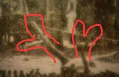 ​1934年辽宁营口坠龙事件真相 多人都亲眼看见过