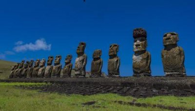 ​普通核桃多少钱一斤？