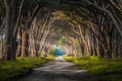 ​小时候经历的几件真实灵异事件