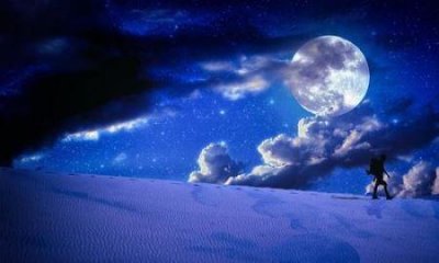 ​传说中最奇怪的花：水晶兰 野生数量少