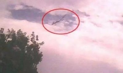 ​真的有龙据说存在龙的证据