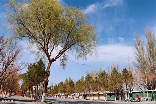 甘肃敦煌：鸣沙山，月牙泉，塞外风光之一绝