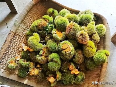 ​生板栗怎么去皮和壳最快？五种方法，易学好上手