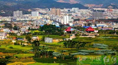 ​全民植树打造绿色生态泸西城