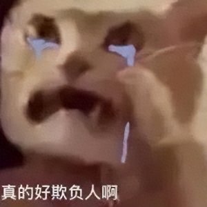 ​表情包｜我错了