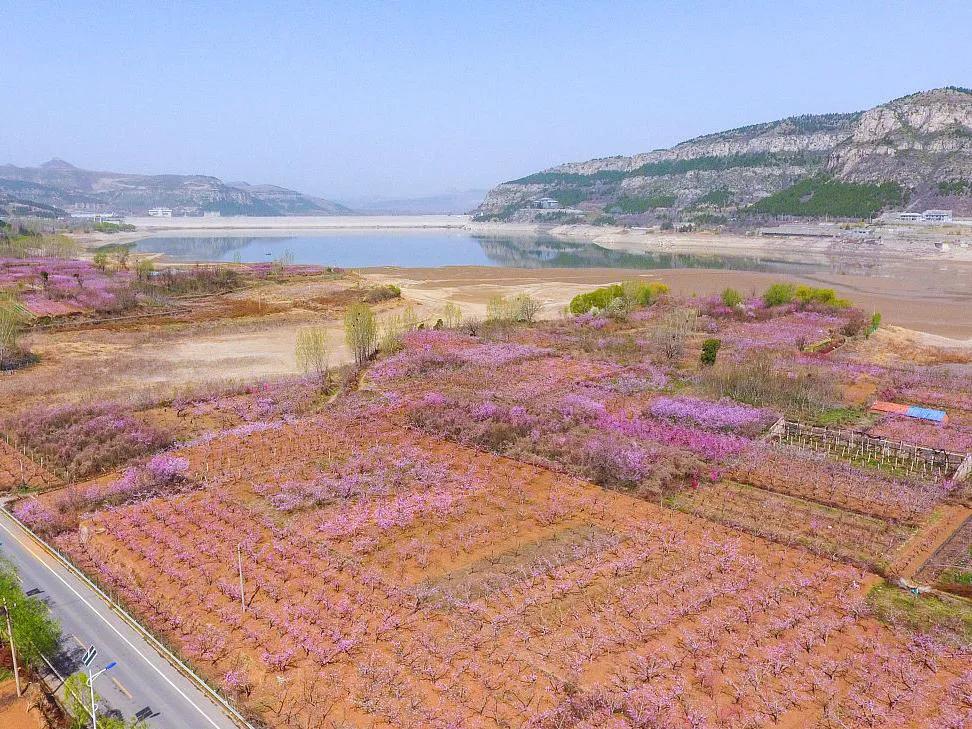 仲宫古镇旅游景点介绍(仲宫镇旅游攻略)