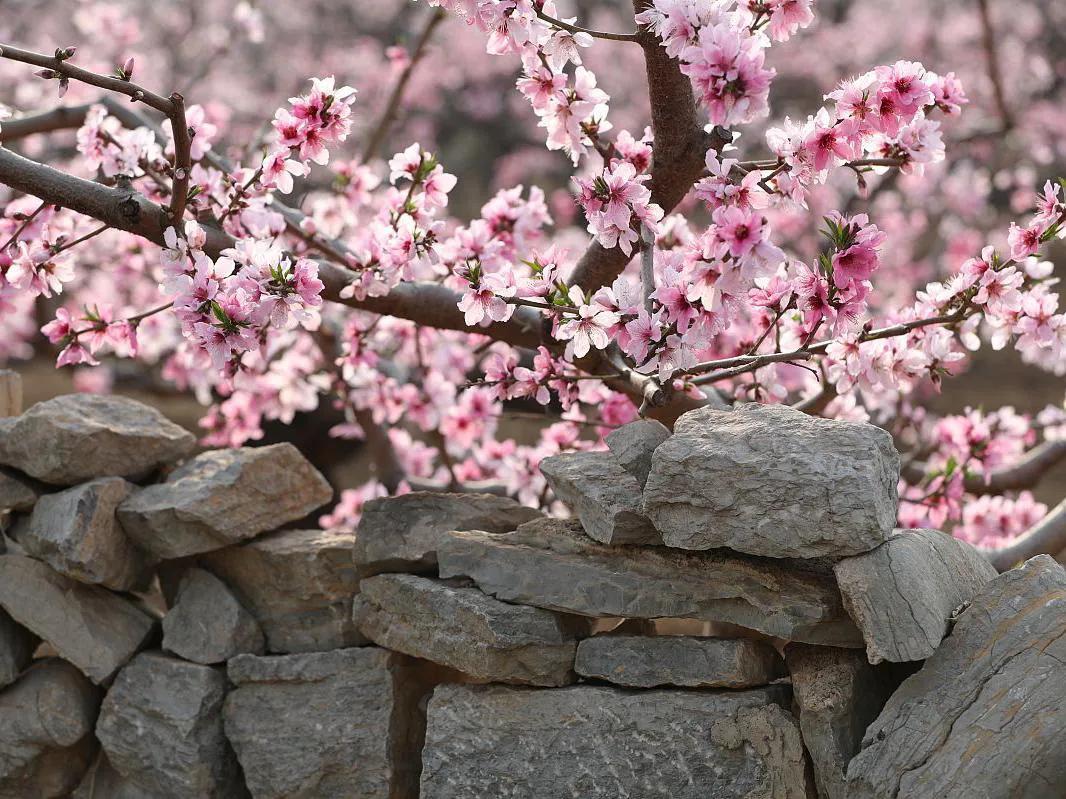 仲宫古镇旅游景点介绍(仲宫镇旅游攻略)