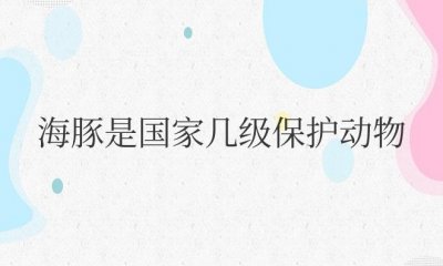 ​海豚是国家几级保护动物