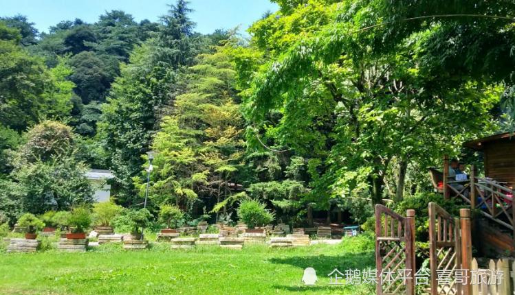 1、云岩区天星岛森林公园