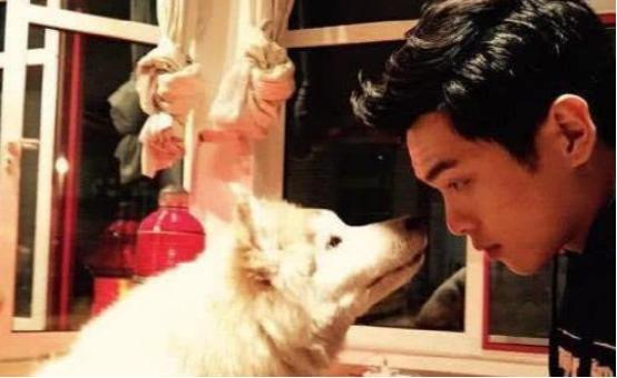 带你看看唐艺昕和张若昀住的豪宅，婚后住在这里？房子酷似四合院