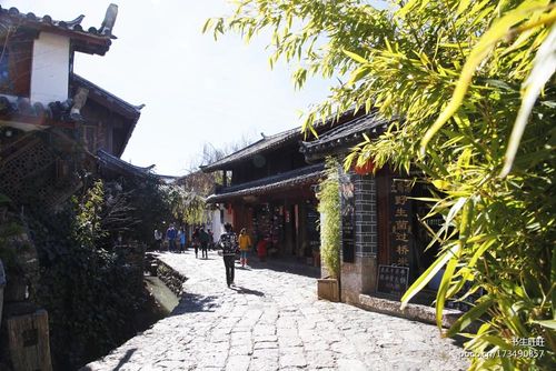 三、丽江