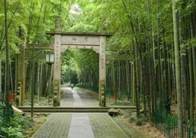 ​云栖竹径——探寻西湖的清幽之境