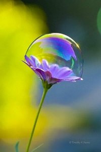 ​有一种心态叫放下，有一种境界叫舍得