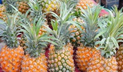​菠萝和凤梨的价格差别很大，但都是同一种水果，区别在哪里呢？