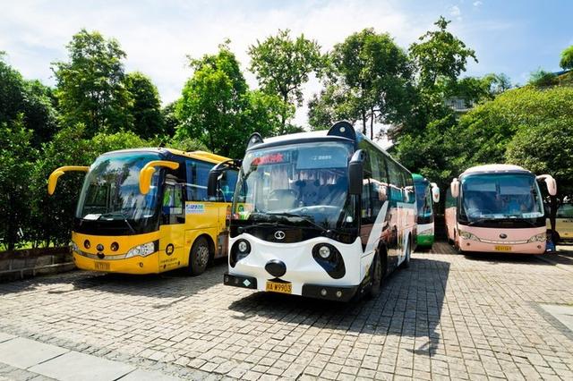 成都市锦里古街风景区（成都锦里古街）(11)