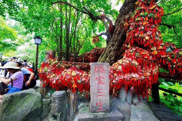 成都市锦里古街风景区（成都锦里古街）(9)