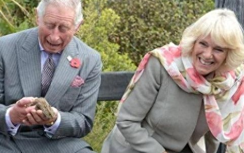 查尔斯卡米拉同穿情侣装，离婚传闻不攻自破？这些照片说明一切