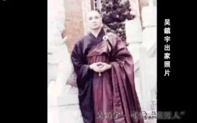 香港演员吴镇宇个人资料（香港欠吴镇宇一个影帝）(19)