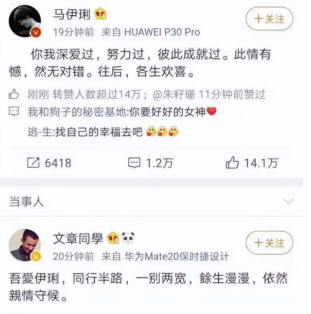 3年后看文章和马伊琍的婚姻（马伊琍文章宣布离婚原因）