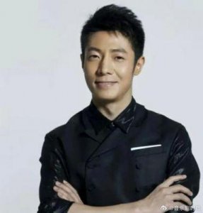 ​撒贝宁被央视解雇揭秘：停职调查背后的真相与原因