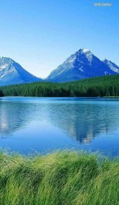 ​离婚以后怎么熬过去(怎么熬过离婚的痛苦)