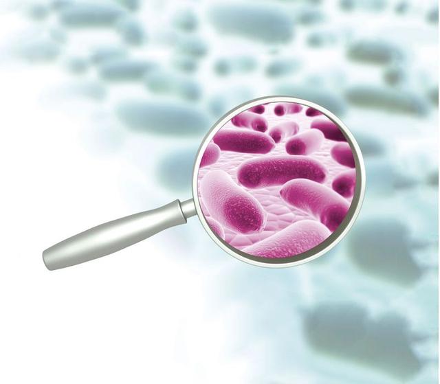 一只鲎产多少血液（鲎的蓝色血液到底有何用）(8)