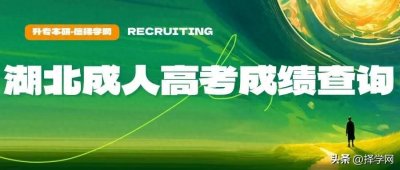 ​2024年湖北成考成绩查询复核全知道