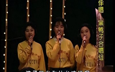 ​“黑鸭子”组合从姐妹变仇敌，从家喻户晓到无人问津，她们怎么了