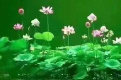 ​礼的定义和内涵