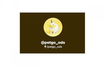 ​女性精神出轨还能回归家庭吗