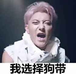 狗带什么意思（2015年最火的网络流行语）