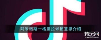 ​阿米诺斯一格里拉米梗意思介绍