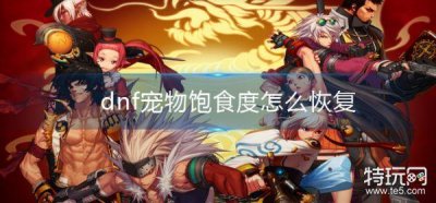 ​dnf宠物饱食度怎么恢复