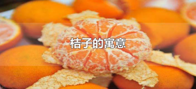 ​桔子的寓意是什么（桔子的寓意及象征）