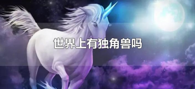 ​世界上有独角兽吗（这个世界上有独角兽吗）