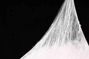 蚕丝面膜和普通面膜的区别 蚕丝面膜好不好