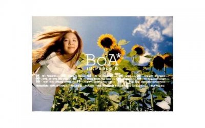 ​邓布利多和格林德沃（邓布利多与格林德沃）