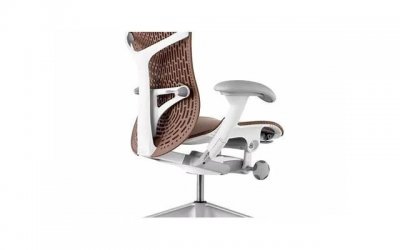 ​张天志咏春原型（岂是张天志一人之过）