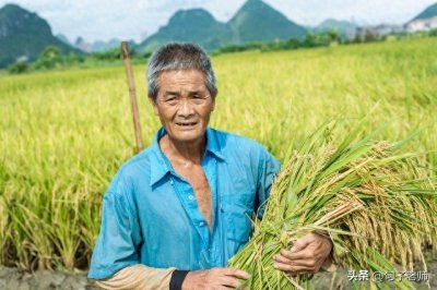 ​2024“粮补”再升级？今年粮食补贴会有哪些新变化？农民要早了解