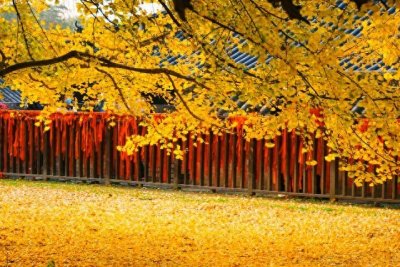 ​峨眉山自由行攻略避开人潮秘境路线规划全指南