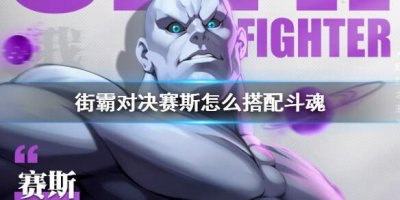 ​街霸对决赛斯怎么搭配斗魂